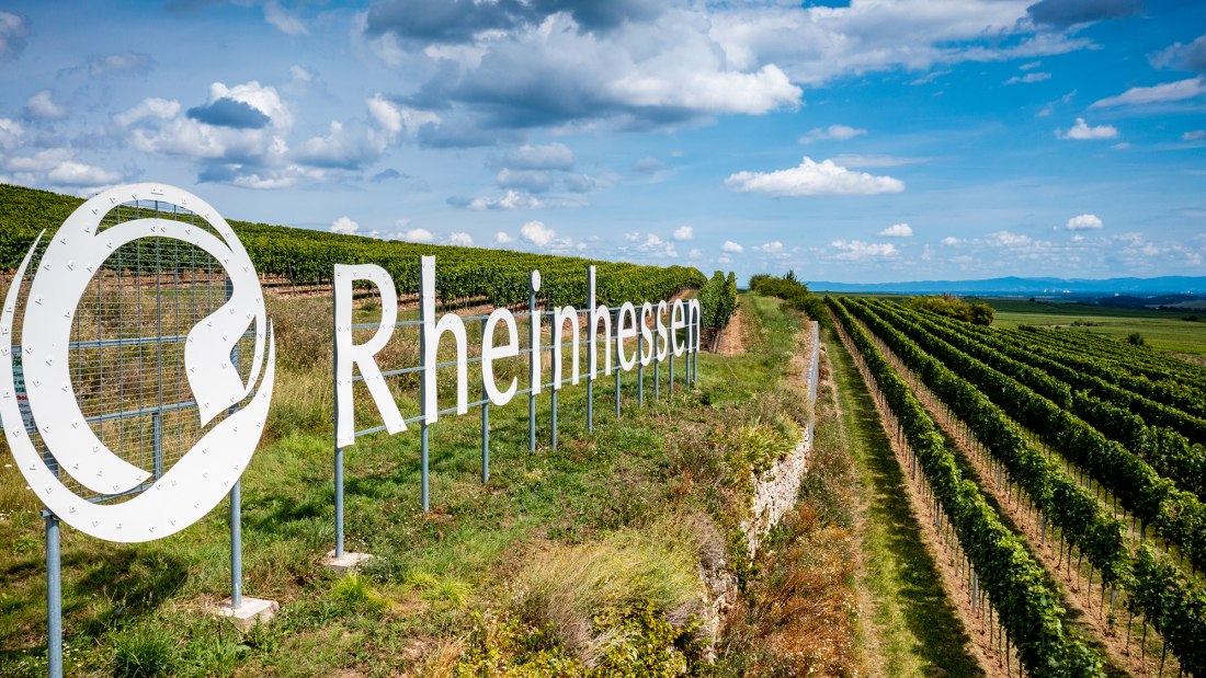 Gundersheimer Höllenbrand, © Rheinhessenwein e.V. Gundersheimer Höllenbrand, © Rheinhessenwein e.V.