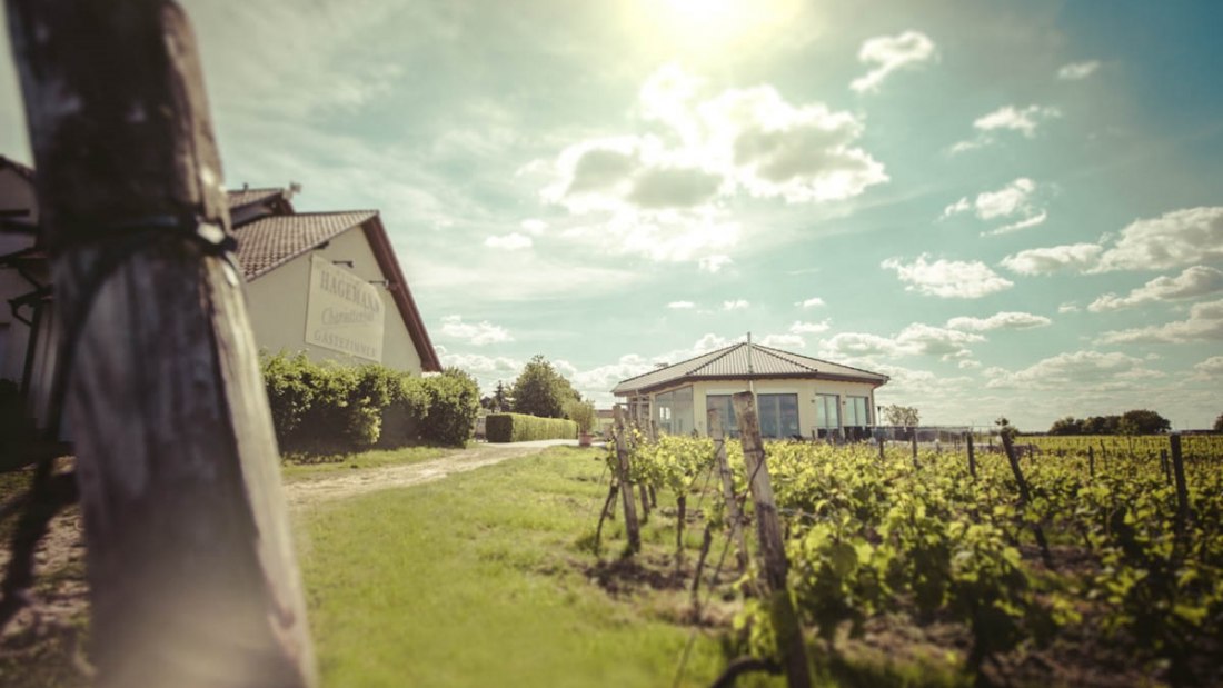 Weingut Hagemann_Aussenansicht Vinothek und Gaestehaus, © Weingut Hagemann Weingut Hagemann_Aussenansicht Vinothek und Gaestehaus, © Weingut Hagemann