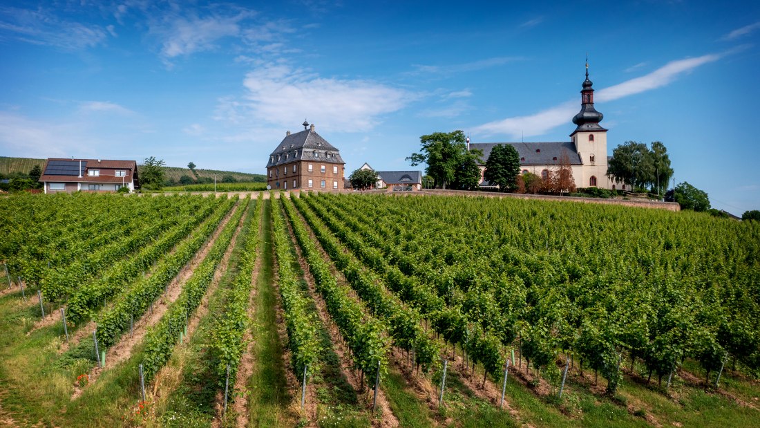 Niersteiner Glöck Niersteiner Glöck