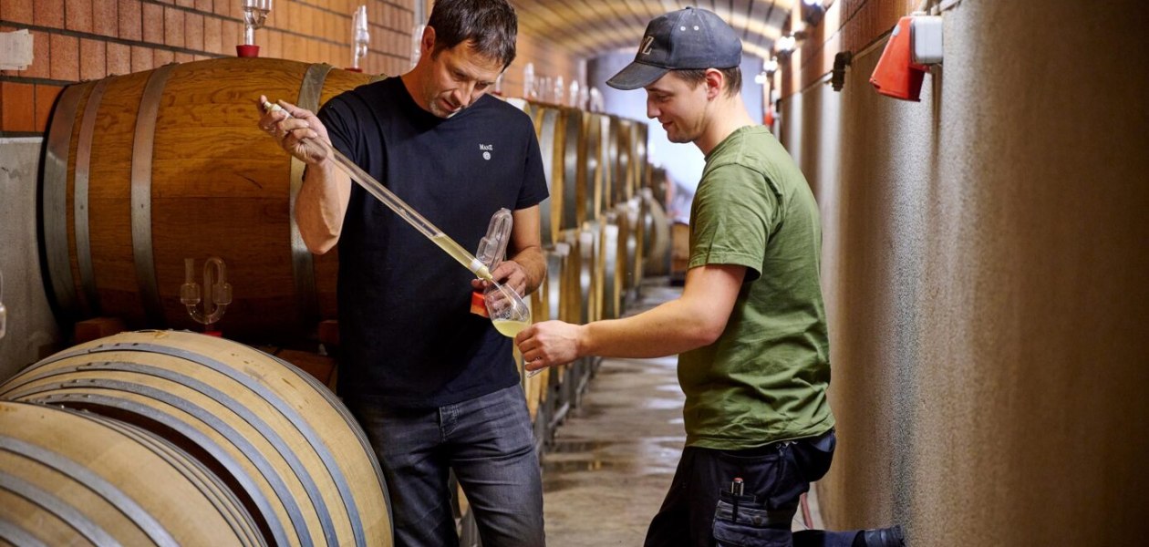 Weingut Manz_Arbeit im Keller, © Weingut Manz Weingut Manz_Arbeit im Keller, © Weingut Manz