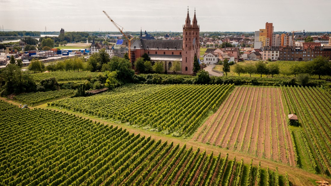 Wormser Liebfrauenstift Kirchenstück Wormser Liebfrauenstift Kirchenstück