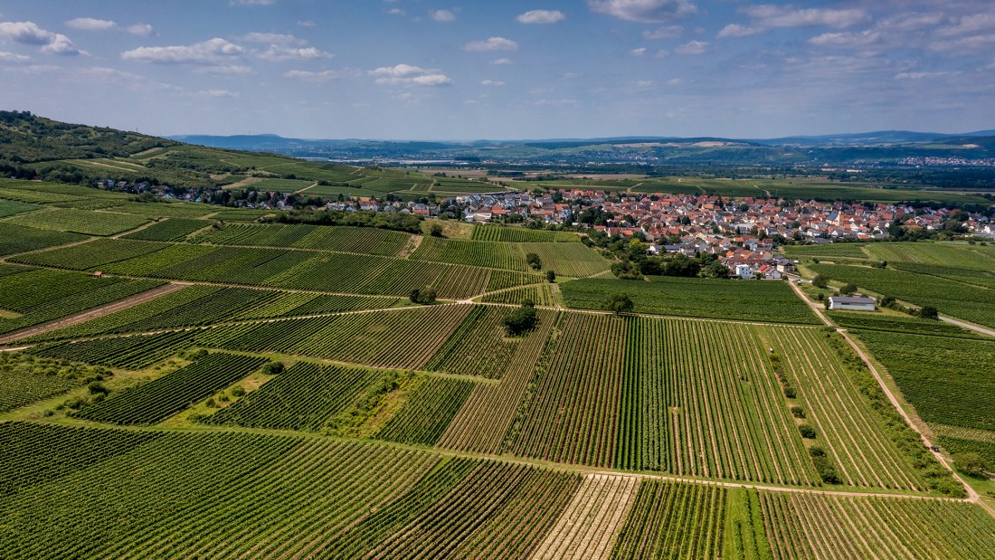 Ockenheimer St. Jakobsberg Ockenheimer St. Jakobsberg