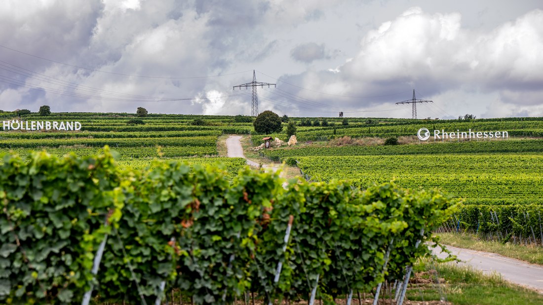 Gundersheimer Höllenbrand Gundersheimer Höllenbrand