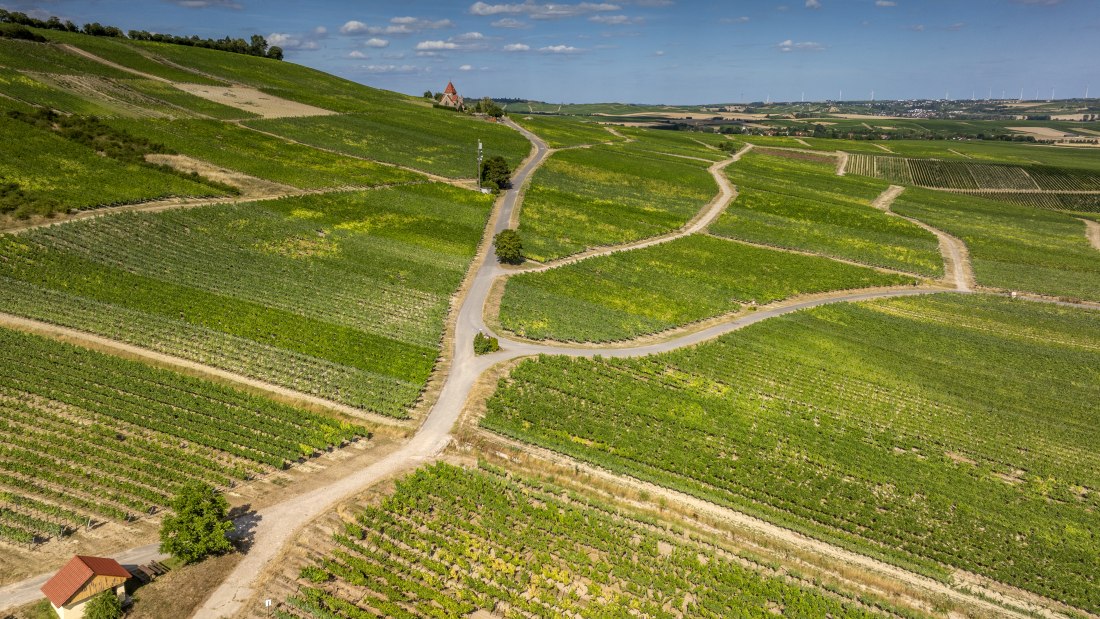 Gau-Bickelheimer Saukopf, © Torsten Silz Gau-Bickelheimer Saukopf, © Torsten Silz