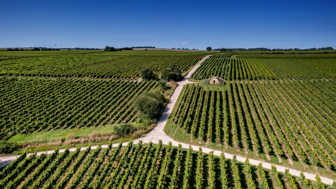 Dienheimer Tafelstein Dienheimer Tafelstein