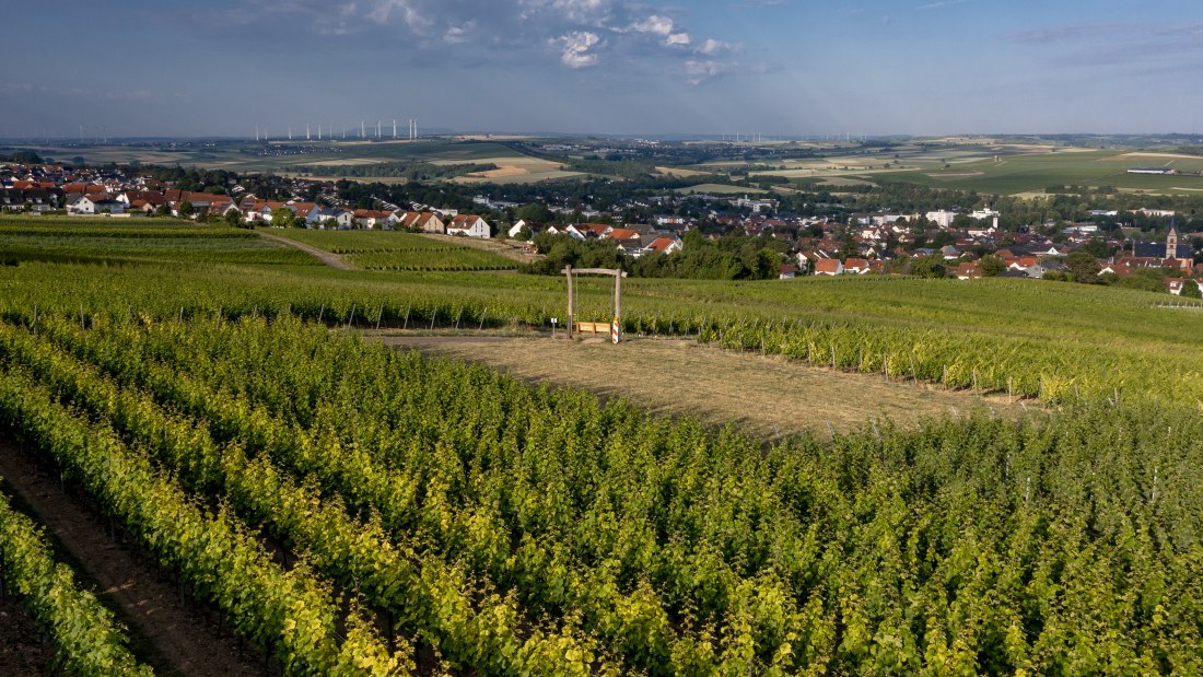 Nieder-Olmer Klosterberg Nieder-Olmer Klosterberg