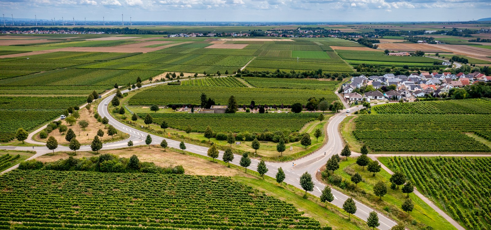 Hohen-Sülzener Kirchenstück Hohen-Sülzener Kirchenstück