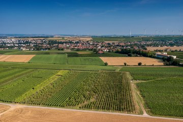 Saulheimer Hölle Saulheimer Hölle