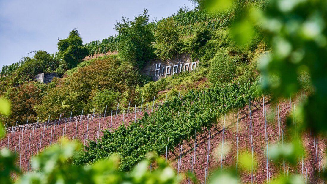 Weingut Manz_Hipping, © Weingut Manz Weingut Manz_Hipping, © Weingut Manz