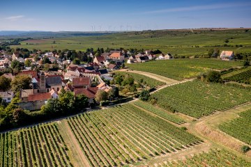 Dalsheimer Bürgel Dalsheimer Bürgel