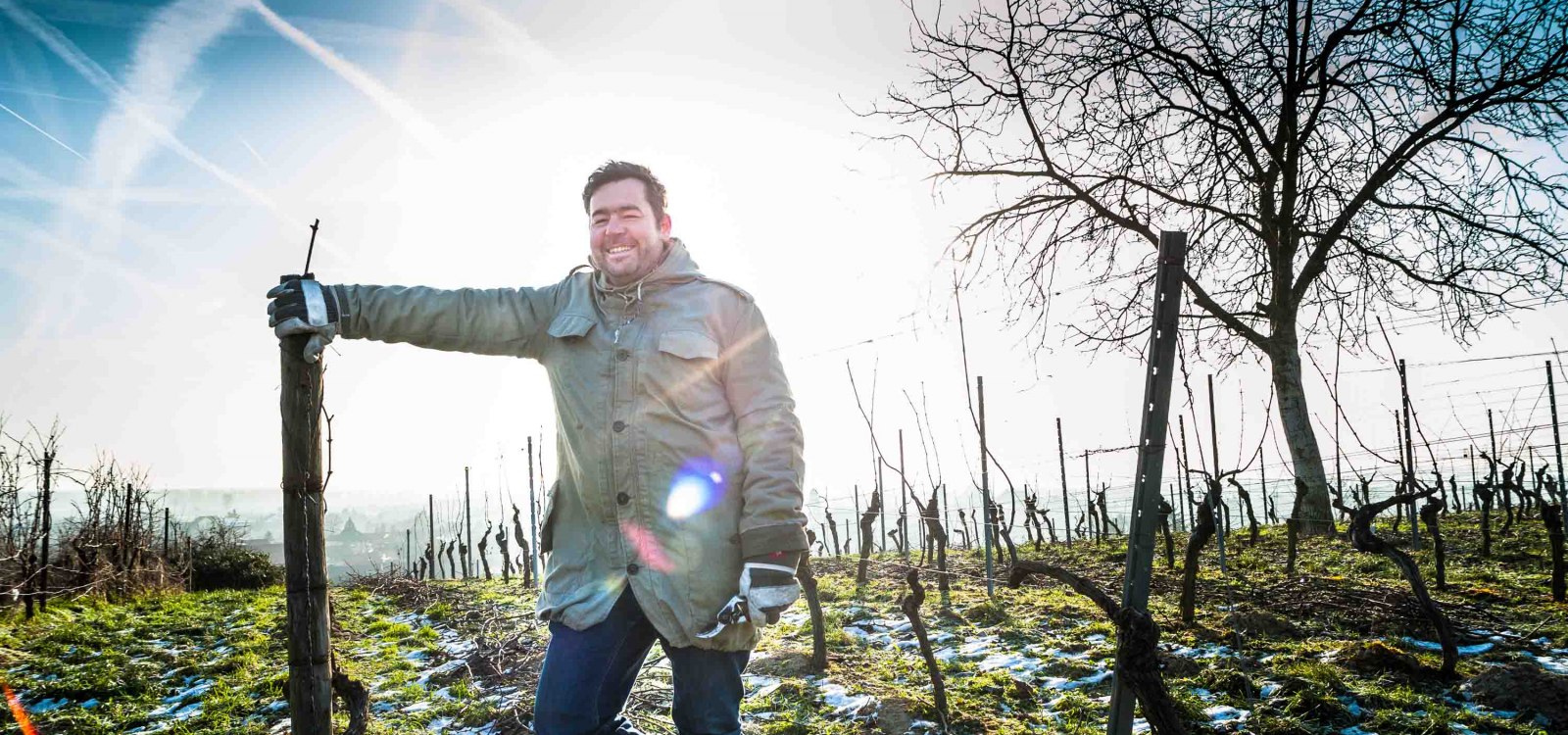 Hiestand_Winzer Reben, © Hiestand Hiestand_Winzer Reben, © Hiestand