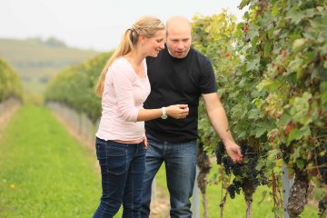 Weingut Klieber_Winzer, © Weingut Klieber Weingut Klieber_Winzer, © Weingut Klieber