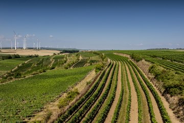 Alsheimer Römerberg, © Torsten Silz Alsheimer Römerberg, © Torsten Silz