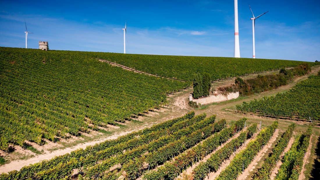 Dalsheimer Hubacker Dalsheimer Hubacker