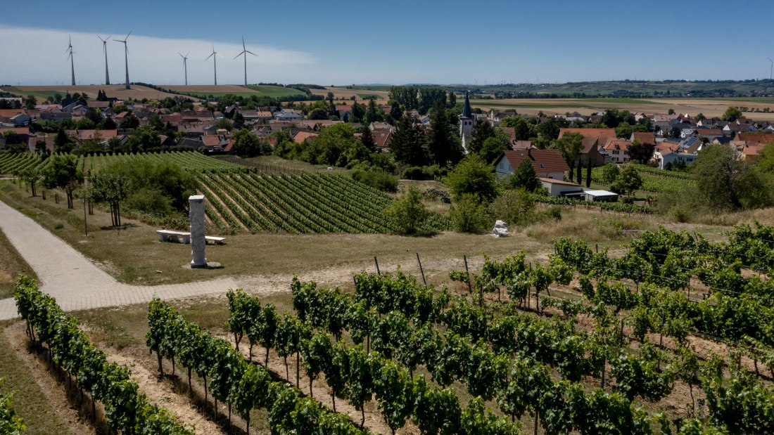 Dorn-Dürkheimer Hasensprung Dorn-Dürkheimer Hasensprung