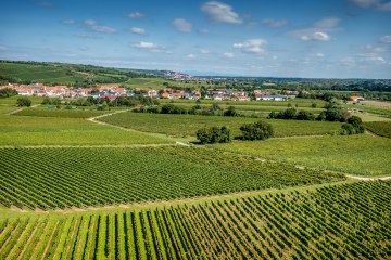 Ludwigshöher Teufelskopf Ludwigshöher Teufelskopf