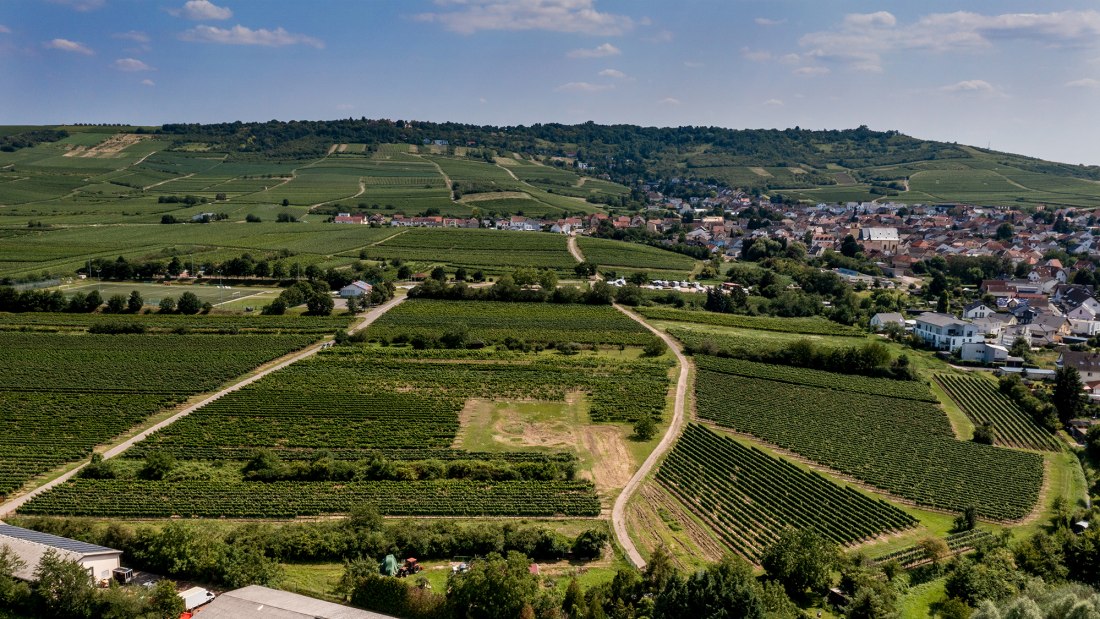 Ockenheimer Kreuz Ockenheimer Kreuz