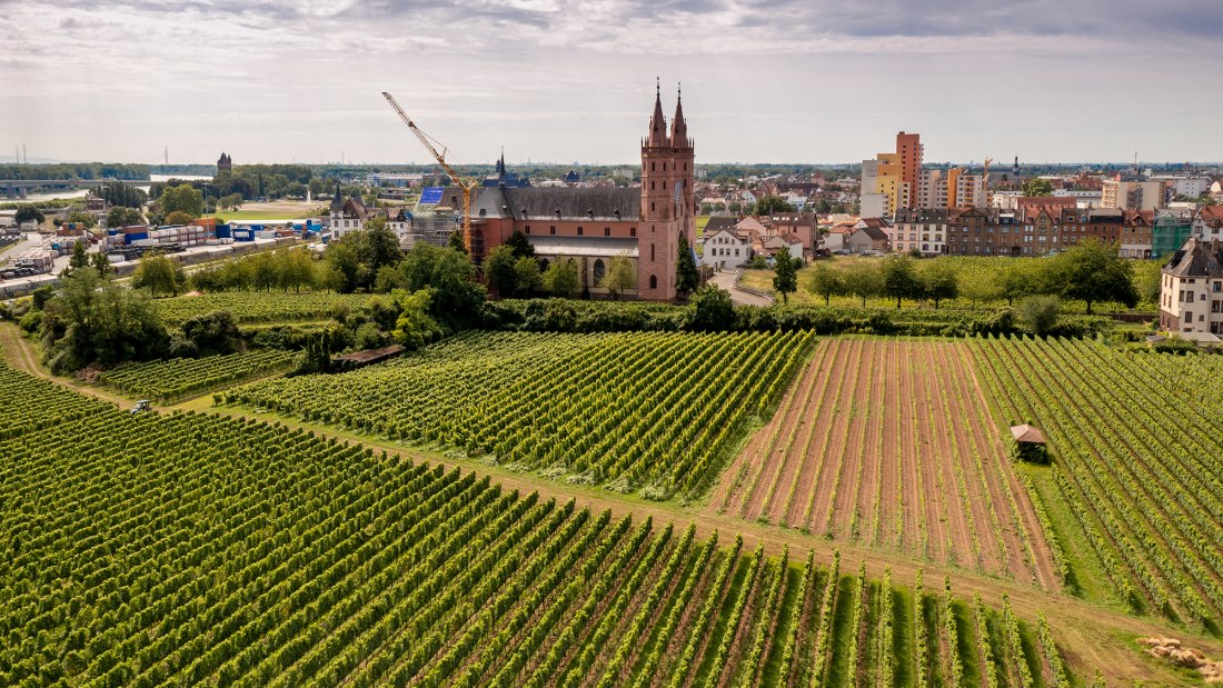 Wormser Liebfrauenstift Kirchenstück Wormser Liebfrauenstift Kirchenstück