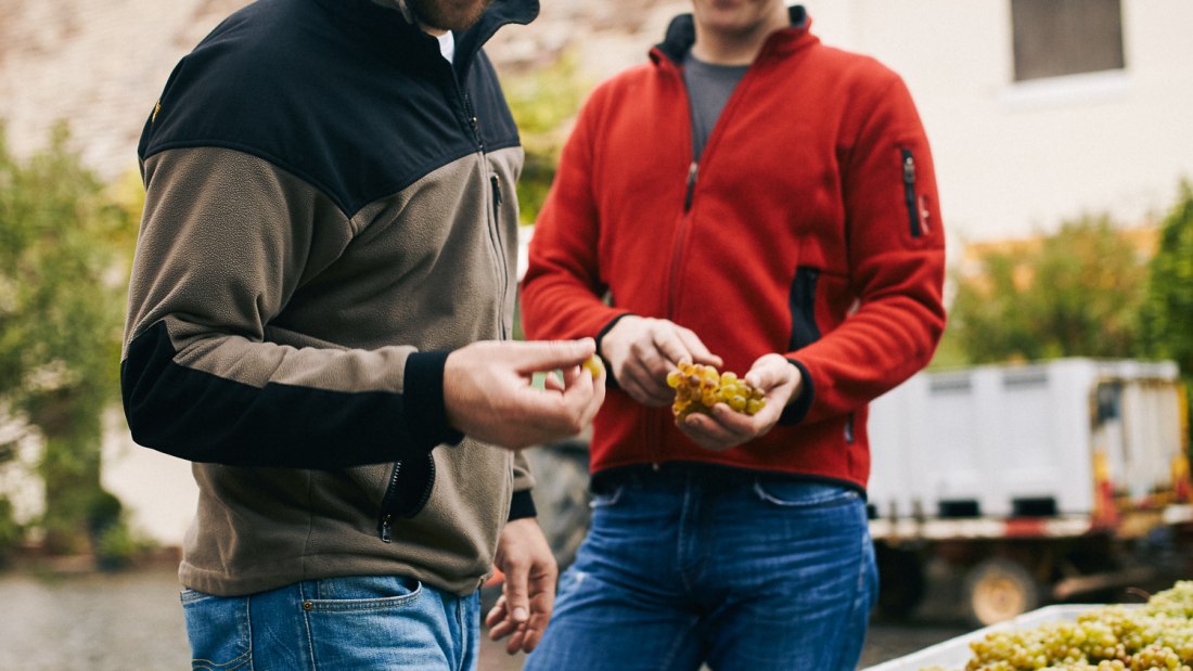 Weingut Geil_Winzer 2, © Weingut Geil Weingut Geil_Winzer 2, © Weingut Geil