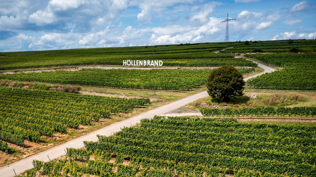 Gundersheimer Höllenbrand Gundersheimer Höllenbrand