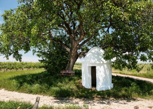 Trullo am Nußbaum © VG Monsheim-Fotograf Carsten Costard Trullo am Nußbaum © VG Monsheim-Fotograf Carsten Costard