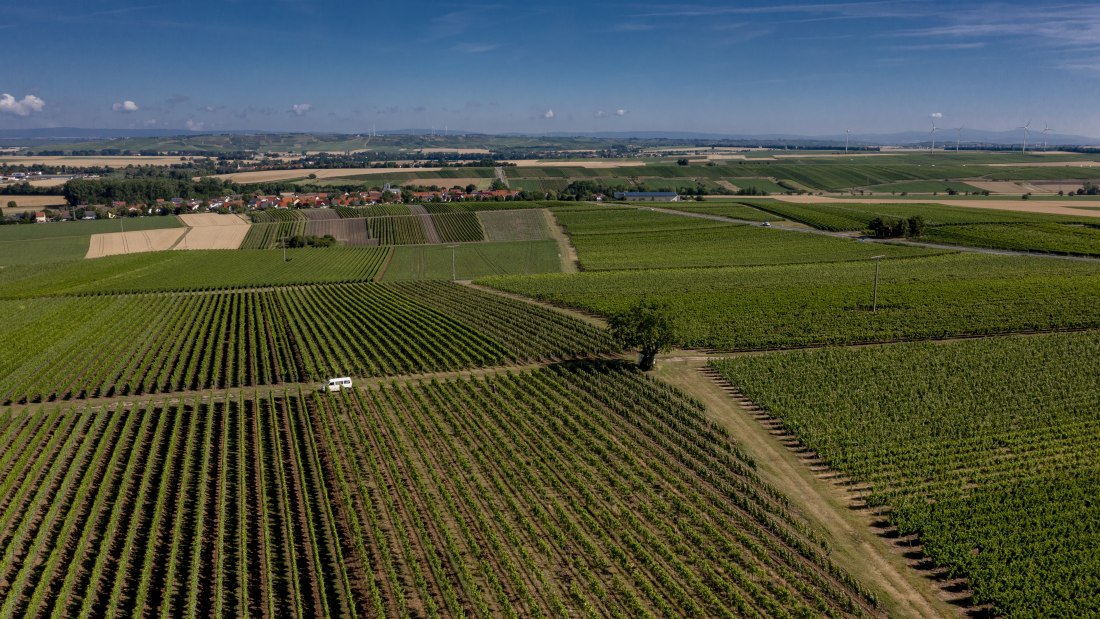 Friesenheimer Bergpfad Friesenheimer Bergpfad
