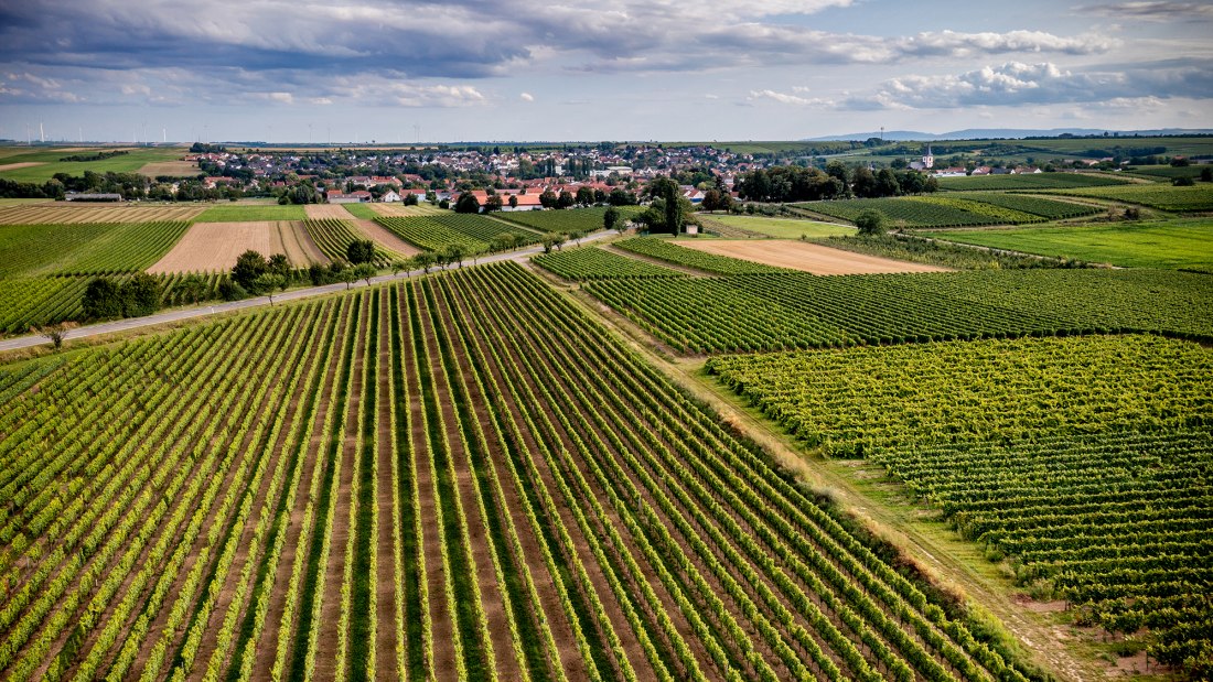 Westhofener Aulerde Westhofener Aulerde