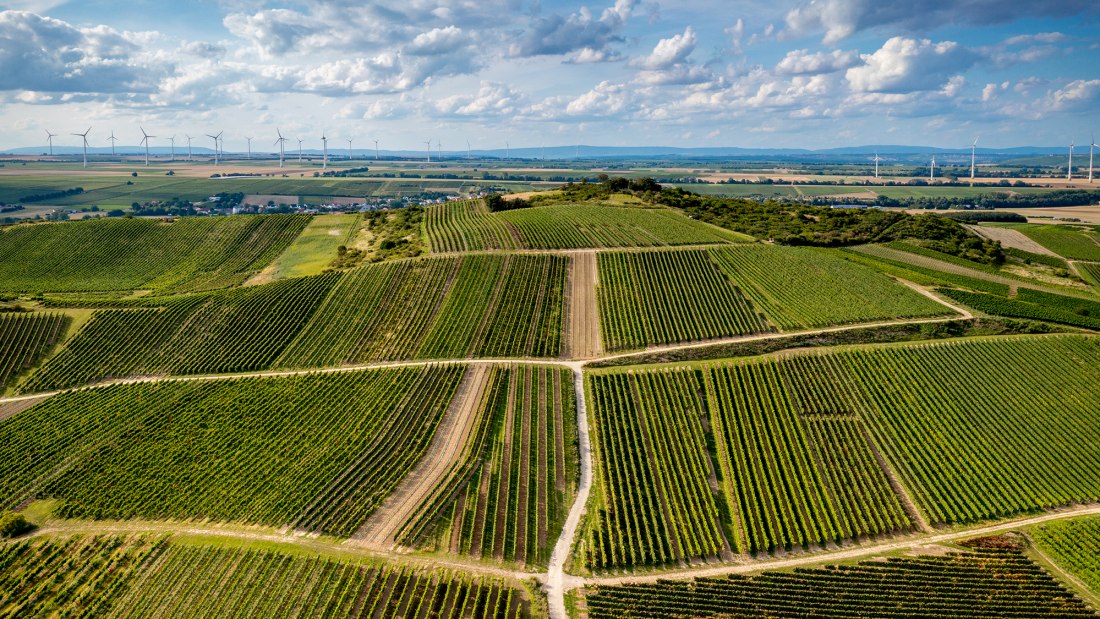 Gau-Odernheimer Herrgottspfad Gau-Odernheimer Herrgottspfad