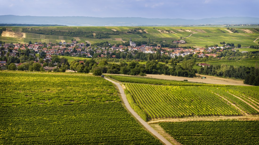Partenheimer Sankt Georgen, © Torsten Silz Partenheimer Sankt Georgen, © Torsten Silz