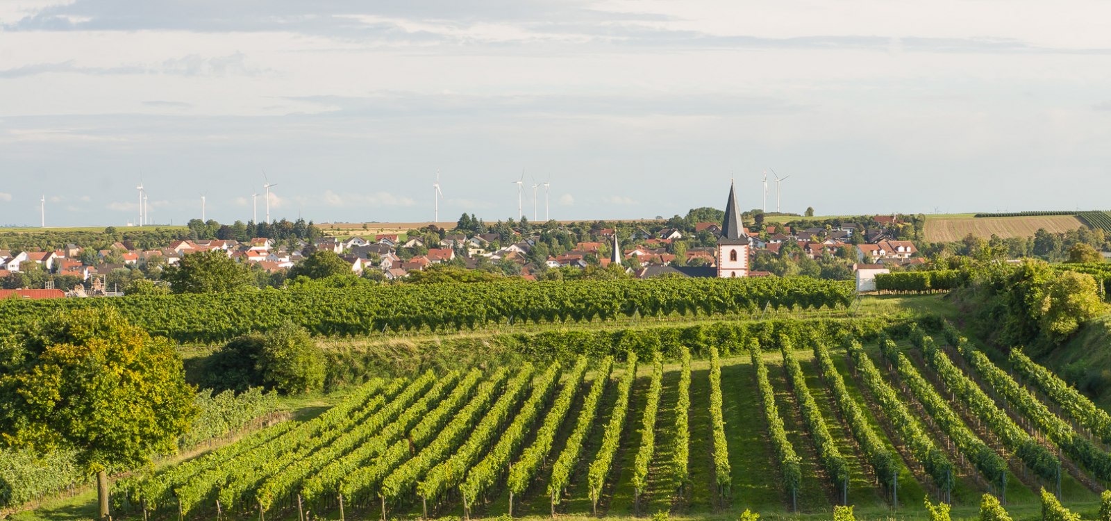 Gemeinde im Wonnegau, © Ulrich van Wasen Gemeinde im Wonnegau, © Ulrich van Wasen