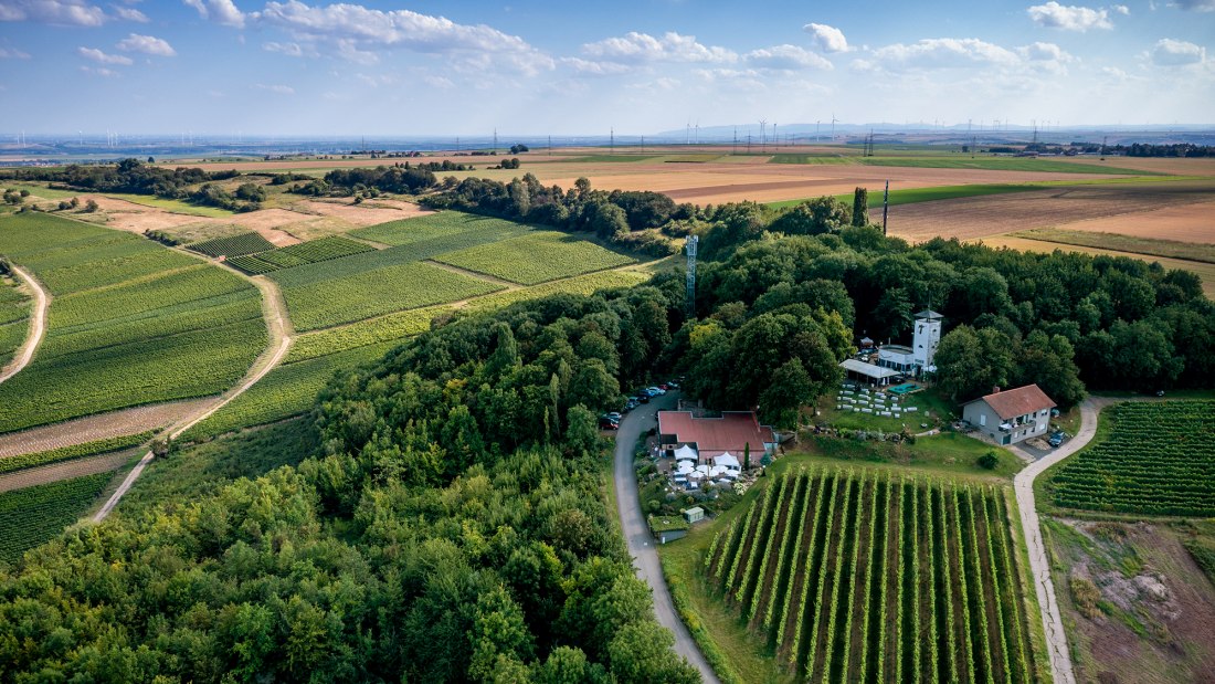 Dittelsheimer Kloppberg Dittelsheimer Kloppberg