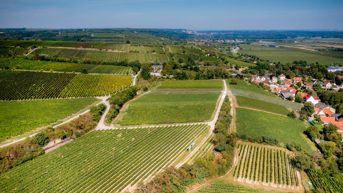Guntersblumer Bornpfad Guntersblumer Bornpfad
