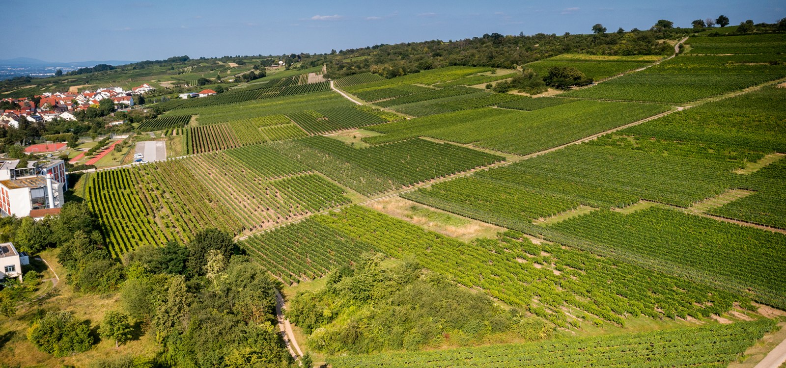 Ingelheimer Höllenweg Ingelheimer Höllenweg