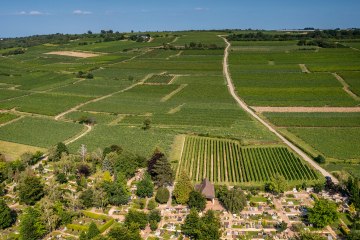 Ingelheimer Pares Ingelheimer Pares