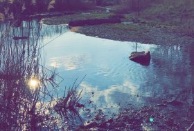 Picknickpalatz an der Seebach © Gina Fragomeli Picknickpalatz an der Seebach © Gina Fragomeli
