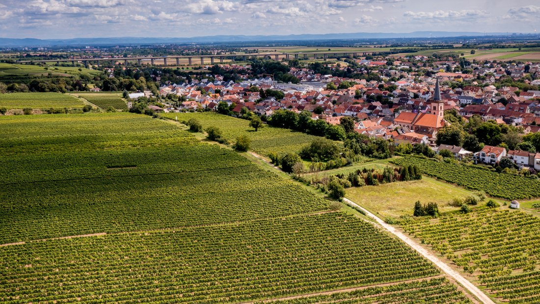 Pfeddersheimer Sankt Georgenberg Pfeddersheimer Sankt Georgenberg