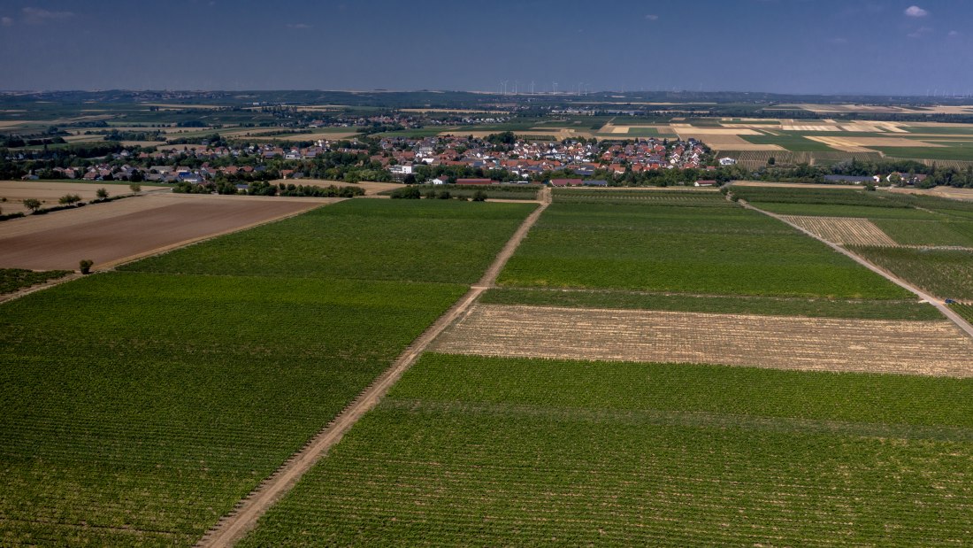 Offsteiner Engelsberg Offsteiner Engelsberg