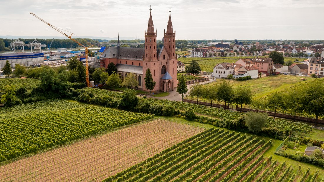 Wormser Liebfrauenstift Kirchenstück Wormser Liebfrauenstift Kirchenstück