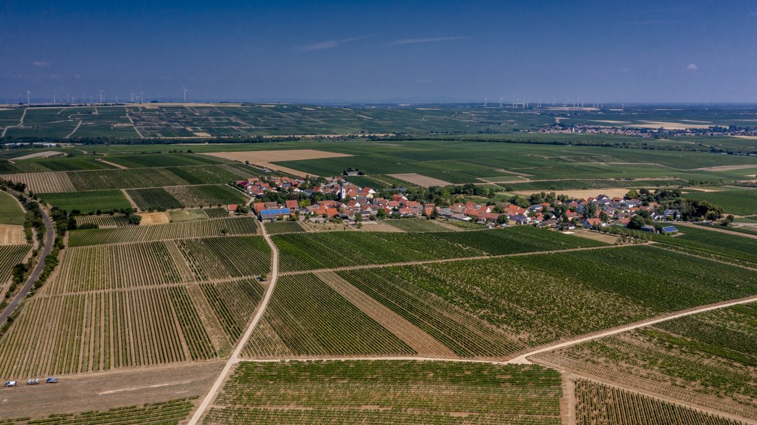 Bermersheimer Seilgarten Bermersheimer Seilgarten