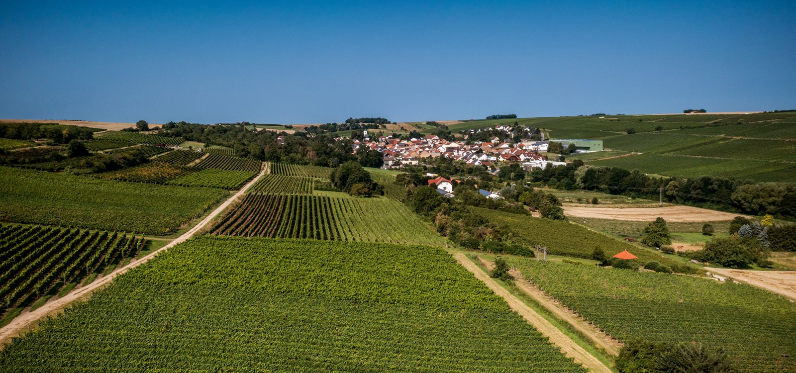 Engelstadter Adelpfad Engelstadter Adelpfad