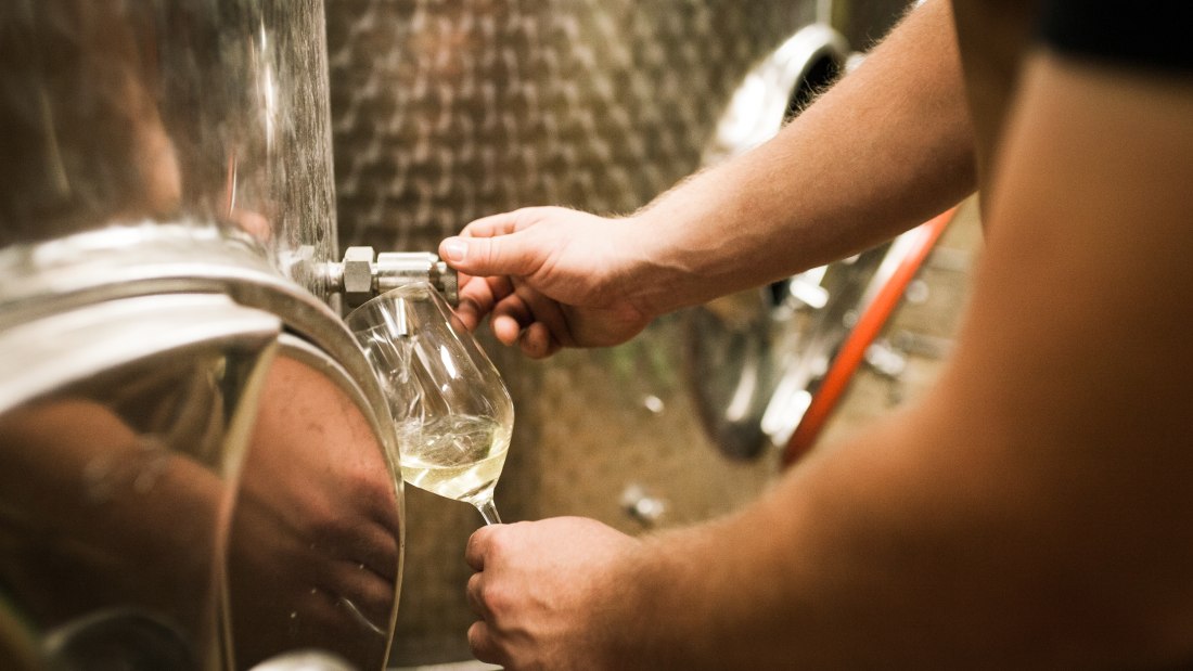 Weingut Dackermann_Keller, &copy; Weingut Dackermann