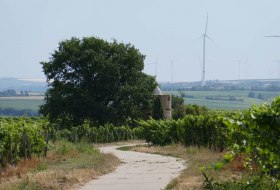 Weg zum Juliusturm &copy; mic