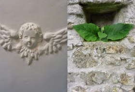 Rheingr&uuml;n Hofgarten &copy; Iris Leonhardt