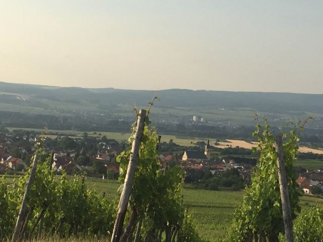 FamilienWeinGut Feser_Weinber, &copy; FamilienWeinGut Feser