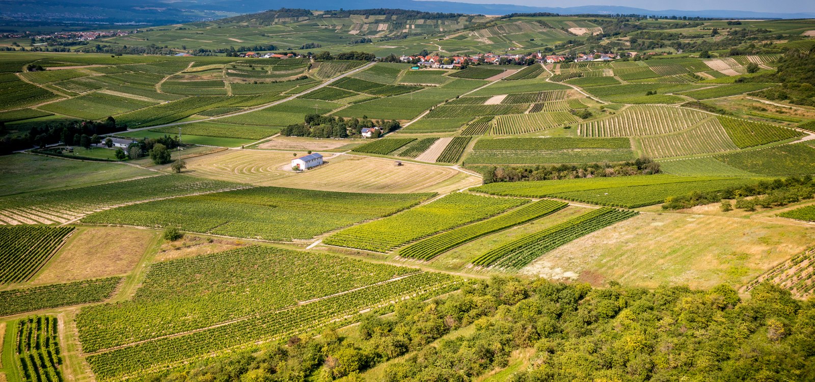 Horrweiler Gewürzgärtchen