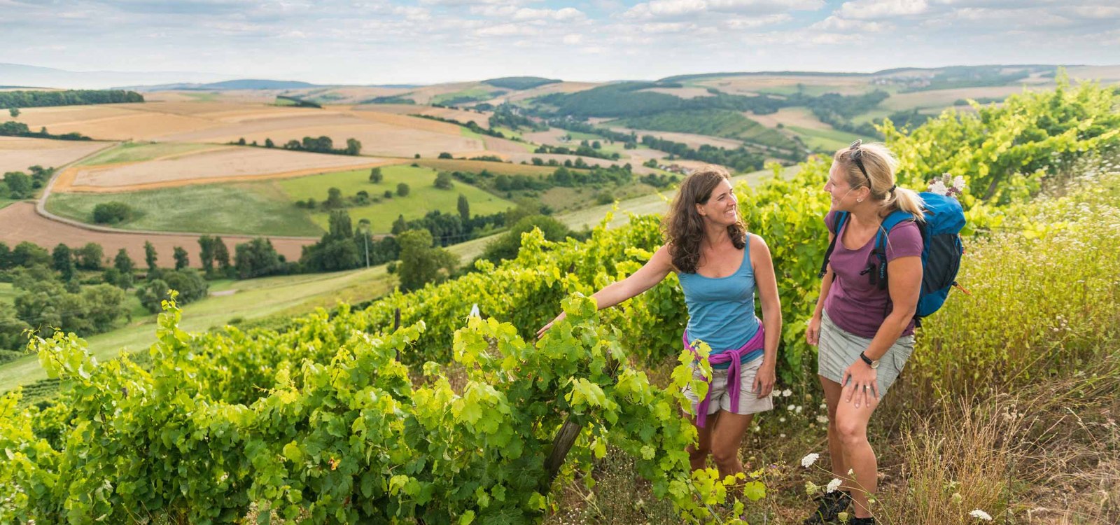 Wandern mit Ausblick, © Rheinhessen-Touristik GmbH - Dominik Ketz