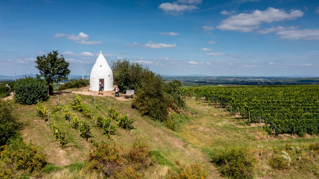 Flonheimer Rotenpfad, &copy; Rheinhessenwein e.V./Torsten Silz