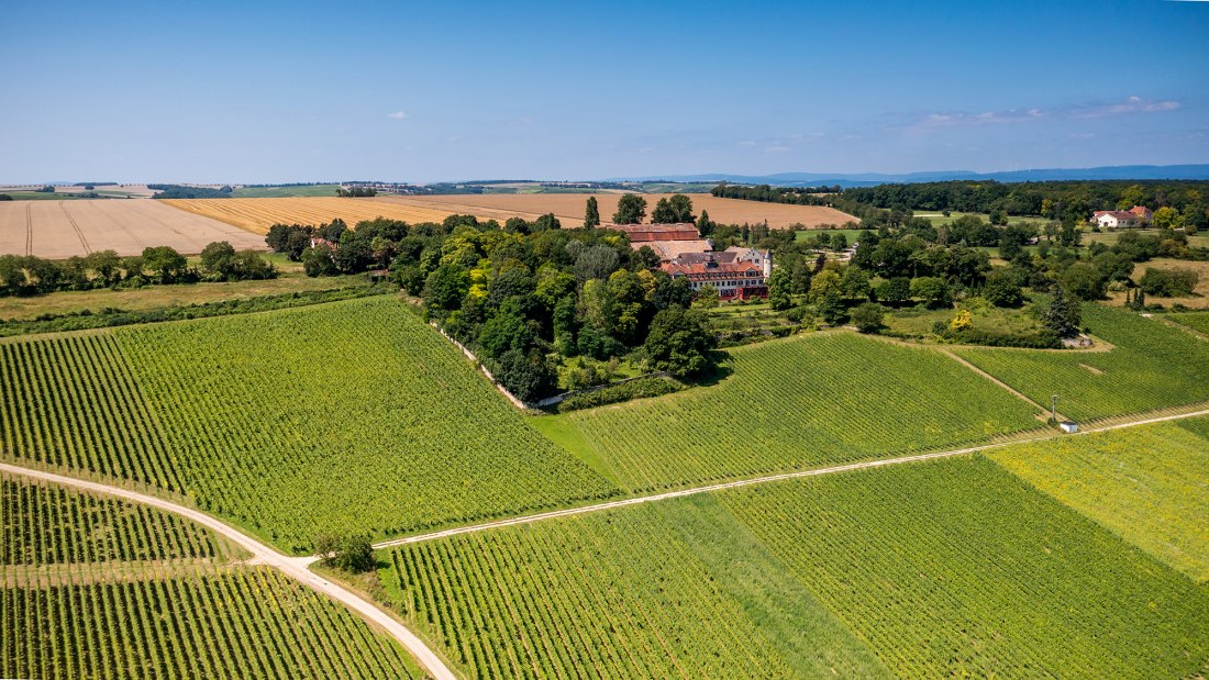 Ingelheimer Schlo&szlig; Westerhaus