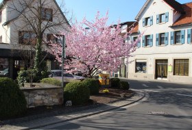 Gemeinde Westhofen &copy; Gemeinde Westhofen