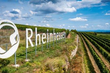 Gundersheimer H&ouml;llenbrand, &copy; Rheinhessenwein e.V.